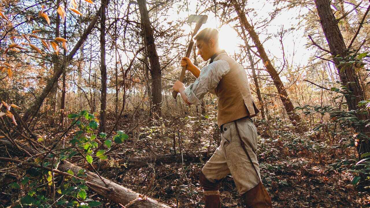 Best Tree Branch Trimming  in USA